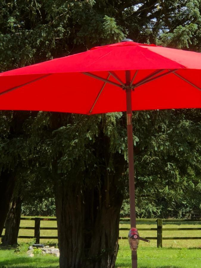Le Domaine D'Olene Acomodação com café da manhã Le Pin  Exterior foto